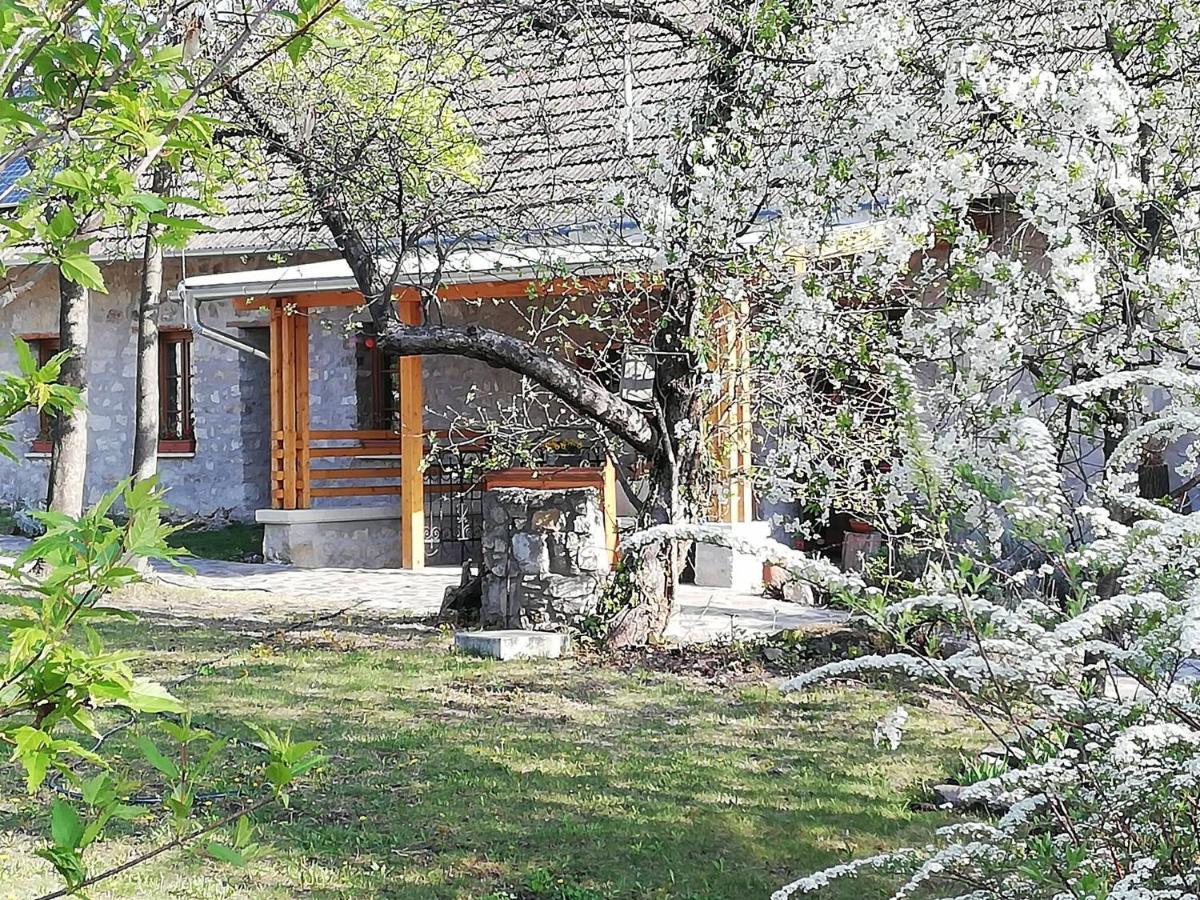 Karadi-Berger Vendeghaz Apartment Erdobenye Exterior photo